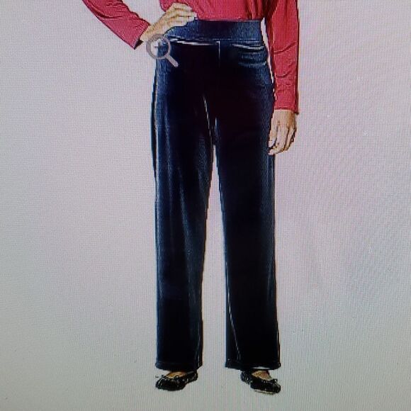 Susan Graver stretch  Velvet wide waistband Pants Petite XL - Picture 1 of 6